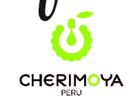 Cherimoya Peru